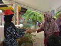 Tn DSC 7829